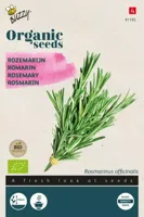 Zaden Organic Rozemarijn (BIO) Buzzy - Buzzy - thumbnail