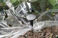 Connex Foliehouder Fabricpegs 20St - FLOR78825 - thumbnail