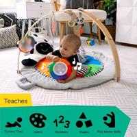 BABY EINSTEIN Zen's Activity Milestones speelkleed met houten staaf, multisensorisch speelgoed, vanaf de geboorte - thumbnail