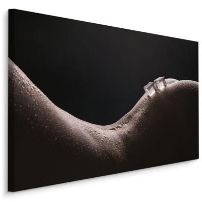 Schilderij - Smeltend ijs, premium print