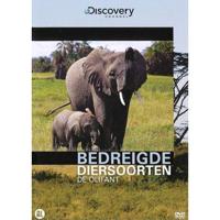 Bedreigde diersoorten - De olifant (DVD) - thumbnail