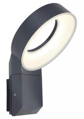 Wandlamp ring led &apos;Meridian&apos; 3000k led lamp rond tuin pad verlichting