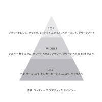 Herenparfum Police 10015357 EDT 40 ml (1 Stuks) - thumbnail