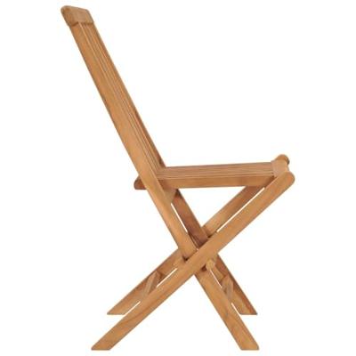 Tuinstoelen inklapbaar 2 st massief teakhout