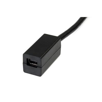 Mini DisplayPort naar DisplayPort-Adapter Startech DP2MDPMF6IN 4K Ultra HD Zwart