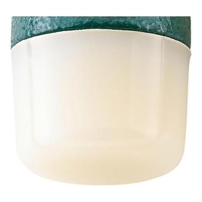 Stahlwille 10956R 40 ERSATZ-NYLONKOPF ZU HAMMER NO. 10956 79050040 Reservekop 31 g 1 stuk(s)