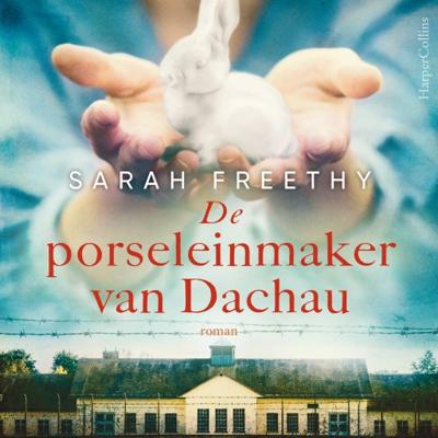 De porseleinmaker van Dachau