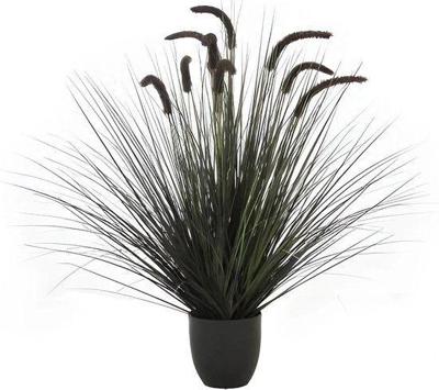 Kamgras in pot 90 cm zwart Hortus - Hortus Kamgras in pot 90 cm zwart Hortus - Hortus