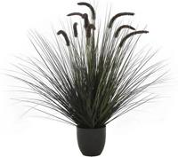 Kamgras in pot 90 cm zwart Hortus - Hortus - thumbnail