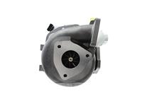 Bindbuis - thumbnail