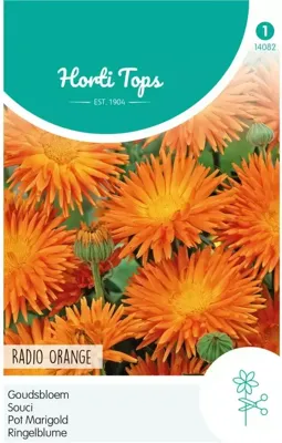 Zaden Calendula Goudsbloem Radio Orange Hortitops - Hortitops