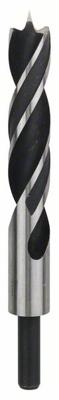 Bosch Accessoires Houtspiraalboren Standard 24 x 140 x 215 mm, d 13 mm 1st - 2608597205 Bosch Accessoires Houtspiraalboren Standard 24 x 140 x 215 mm, d 13 mm 1st - 2608597205