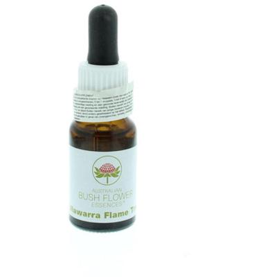 Australian Bush Illawarra flame tree 15 Milliliter