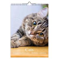 Katten foto verjaardagskalender A4 - thumbnail