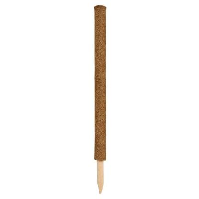 Kokosplantstok H60cm dia. 38mm Nature - Nature