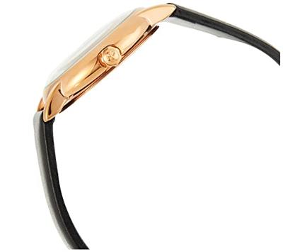 Calvin Klein ESTABILISHED (Ø 32 mm) Dames horloge