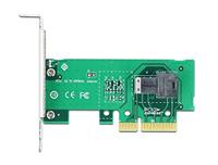 DeLOCK PCIe x4 Card naar 1x SFF-8643 NVMe Low Profile interface kaart - thumbnail