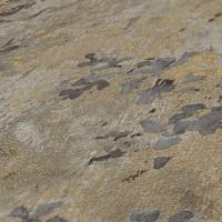 Livingwalls Stories of Life - Grijs - Planten - 396501 - thumbnail