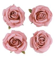 4 Oud Roze Ivoor Rozen Koppen (11x6cm) - thumbnail