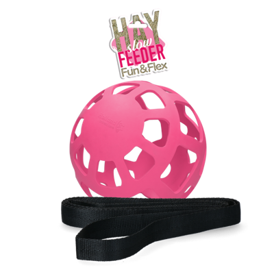 Hay Slow Feeder Fun & Flex Roze