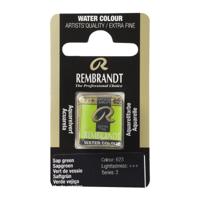 Rembrandt Aquarelverf Napje - Sapgroen #623 - thumbnail
