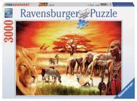 Puzzel 3000 stuks Massai Pride - thumbnail