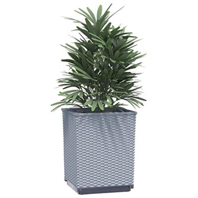 Plantenbakken 2 st 30x30x37 cm polypropeen lichtgrijs - thumbnail