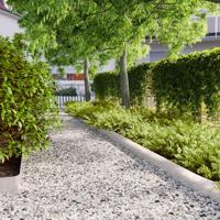 Gazonranden 10 st 15x103 cm roestvrij staal - thumbnail