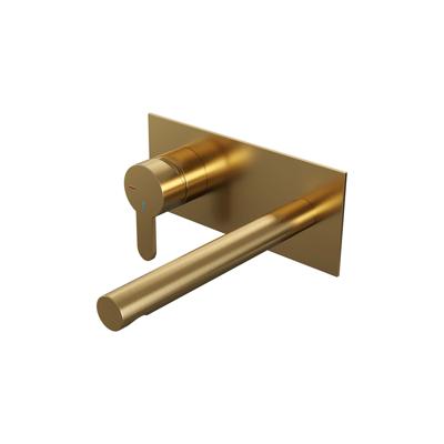 Brauer Gold Edition Inbouw Wastafelmengkraan met Rechte Uitloop en Afdekplaat Model D2 Goud Geborsteld PVD
