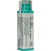 Aesculus hippocastanum D30 - thumbnail