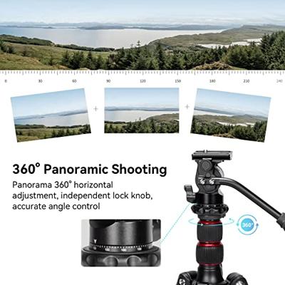 SmallRig Selection Statief Fluid Head Pan Tilt Head met Quick Release Plate voor Arca Swiss voor Compacte Videocamera's en DSLR Camera's -3259, Zwart