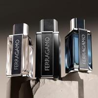 Herenparfum Salvatore Ferragamo FERRAGAMO SUBLIME LEATHER EDP 100 ml - thumbnail