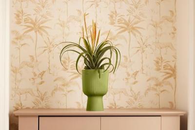 elho bloempot vibes fold coupe d14 h21cm Varengroen