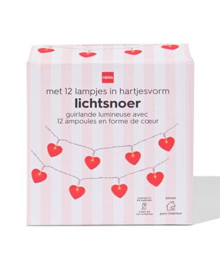HEMA Lichtsnoer 2m met 12 hartjes voor binnen liefde