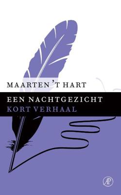 Een nachtgezicht - Maarten 't Hart - ebook