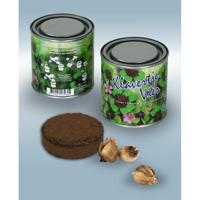 Boeketje in blik klavertje vier - thumbnail