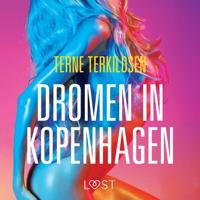 Dromen in Kopenhagen - erotisch verhaal - thumbnail