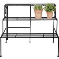 Plantenetagere trap - 3 traps - thumbnail