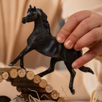 schleich HORSE CLUB Arabische hengst 13981 - thumbnail