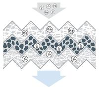 Interieurfilter R5584 - thumbnail