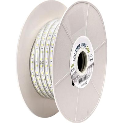 LED Strip 50m - IP65 Waterdicht - Koud Wit 6500K - 230V 5050 SMD