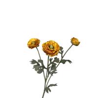 Roberts Collection Kunstbloem ranonkel 48cm okergeel - thumbnail