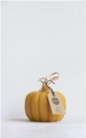 Bijenwaskaars in de vorm van een pompoen - 1 kaars - thumbnail
