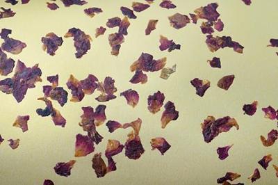 Stars of Light TafellampCastuera met meerdere kleuren - 390294