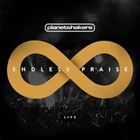 Endless Praise - CD (0000768565926) - thumbnail