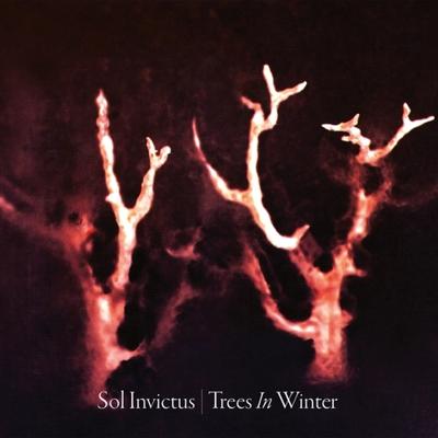 Trees In Winter - CD (0884388303638)