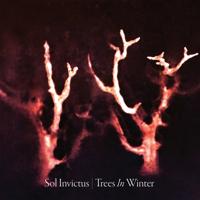 Trees In Winter - CD (0884388303638) - thumbnail