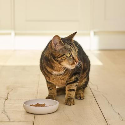 LILY'S KITCHEN CAT SMOOTH PATE CHICKEN - thumbnail