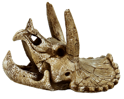 Superfish Skull Triceratops M - Prehistorische Decoratie en Veilige Schuilplaats voor Aquarium - thumbnail