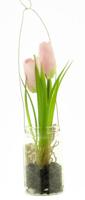 Tulip yara in glass pot w/hanger pink 24cm - thumbnail